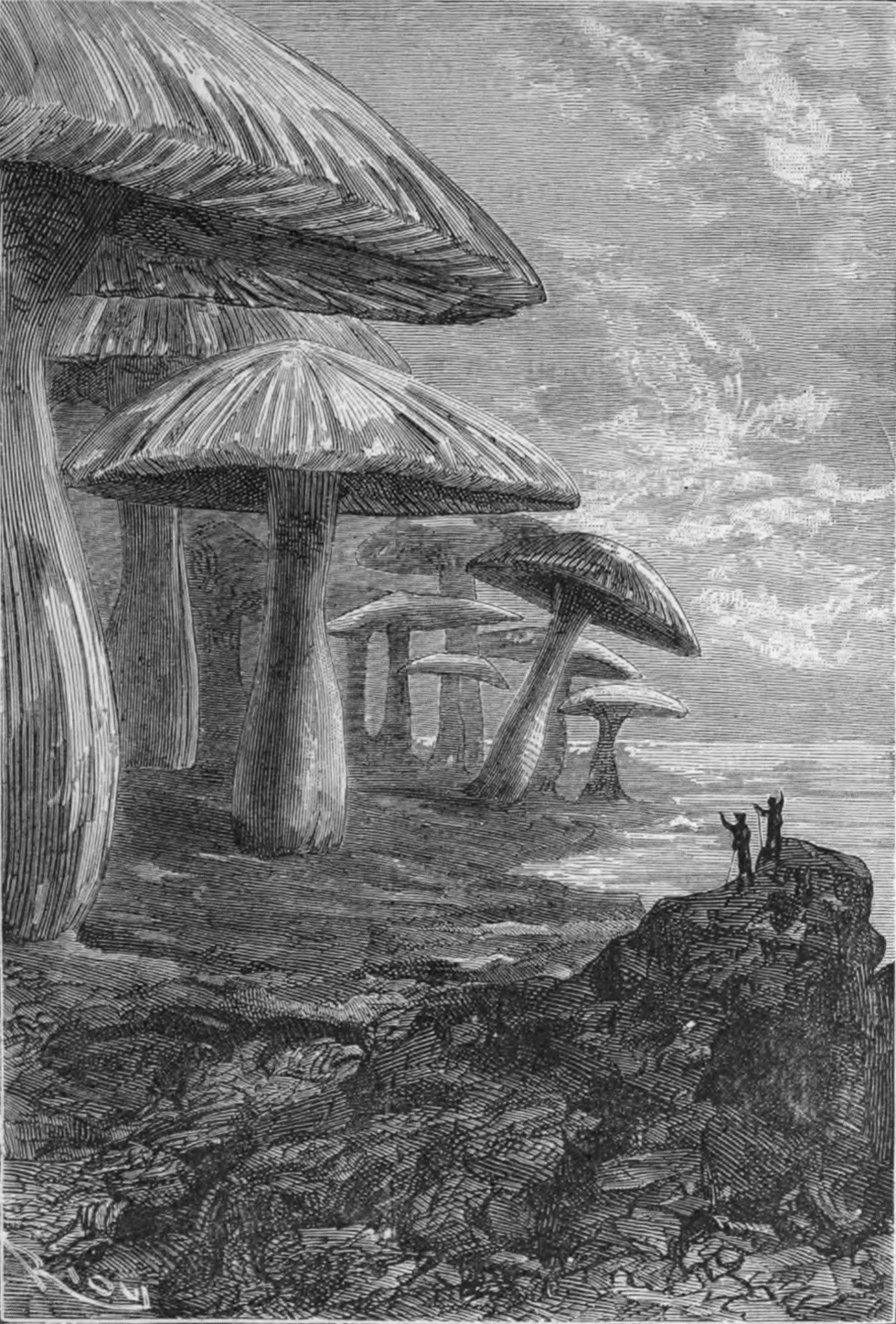 Journey to the Center of the Earth, gravure d'Édouard Riou